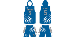 Quinlan Panthers
